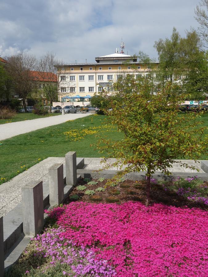 Life Hostel Slovenia Radovljica Eksteriør bilde